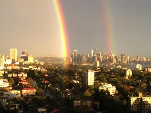 cau vong doi tuyet dep o sydney gay bao mang