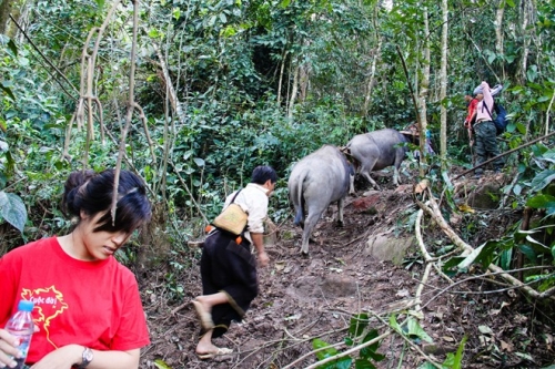 chinh phuc noc nha tay tien - 2