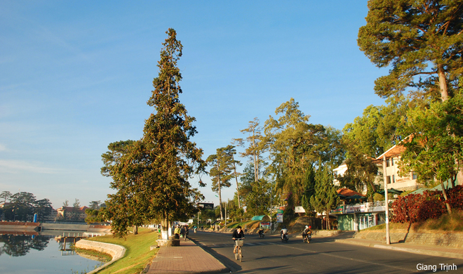 da lat ruc ro voi mai anh dao va phuong tim-1