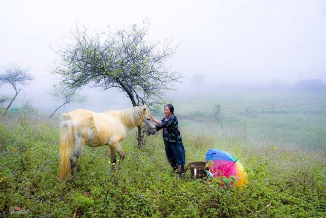 dai yem ho hung noi troi va dat o moc chau-1