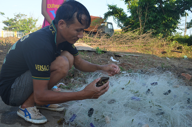 dao con co hon ngoc tho giua dai duong-9