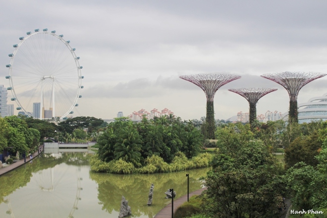 Dạo quanh kỳ quan Gardens by the Bay - 1