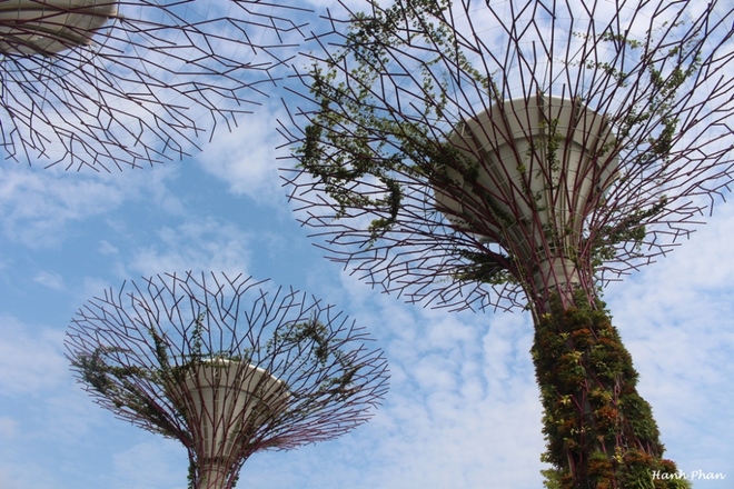 Dạo quanh kỳ quan Gardens by the Bay - 2