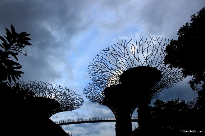 Dạo quanh kỳ quan Gardens by the Bay - 3