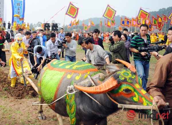 dau nam tray hoi tich dien - 9