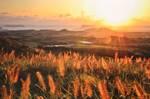 Đến đảo Jeju, mua... đá đen về làm quà - 1