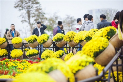 dia diem du lich thu gian tet at mui 2015 bai tet - 6