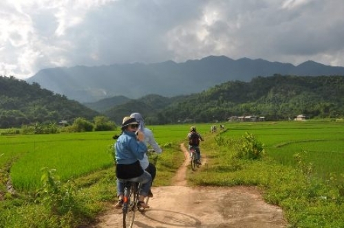 dia diem du lich thu gian tet at mui 2015 bai tet - 2