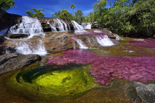 Dòng sông cầu vồng kỳ lạ ở Colombia - 1