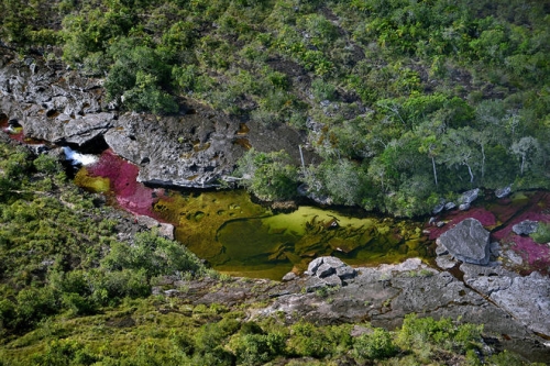 Dòng sông cầu vồng kỳ lạ ở Colombia - 2