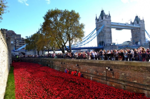 'Dòng sông hoa' anh túc chảy rực đỏ London - 12