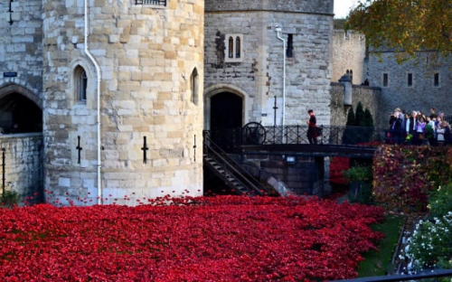 'Dòng sông hoa' anh túc chảy rực đỏ London - 3