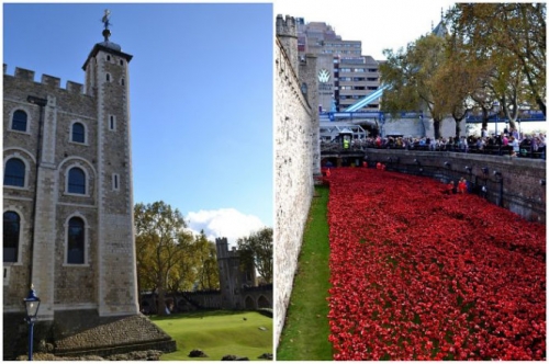 'Dòng sông hoa' anh túc chảy rực đỏ London - 4