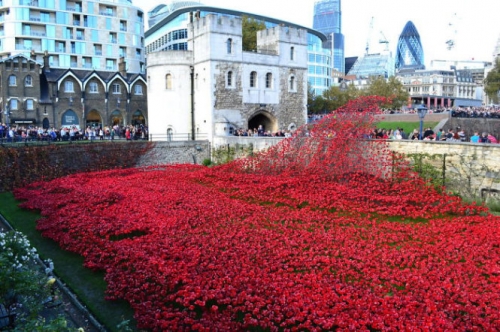 'Dòng sông hoa' anh túc chảy rực đỏ London - 7