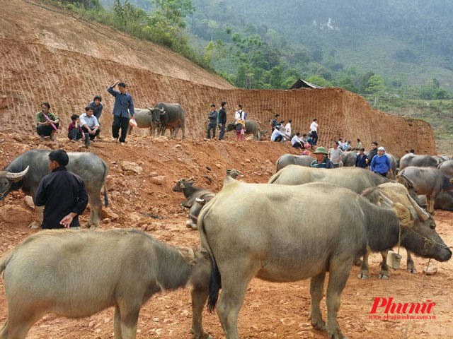 Ghé chợ phiên được khách nước ngoài yêu thích tại Lào Cai - 4