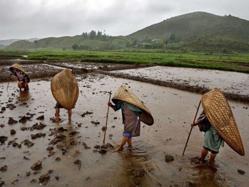 Gọi tên những nơi 'đứng nhất' thế giới - 7