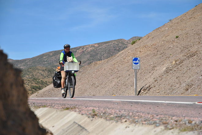 Hành trình 26.000 km vòng quanh thế giới của chú chó mù - 7