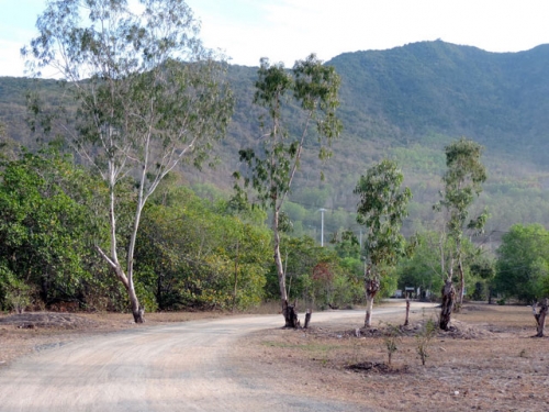 kham pha ve dep hoang so cua bai dai o nha trang