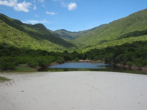 khung canh ngoan muc doc duong ven bien phan rang cam ranh-12