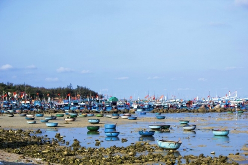 khung canh ngoan muc doc duong ven bien phan rang cam ranh-7