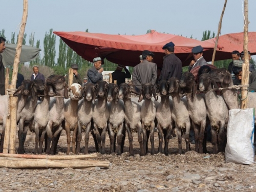 Long Biên lọt top 7 khu chợ trời thú vị nhất thế giới - 5