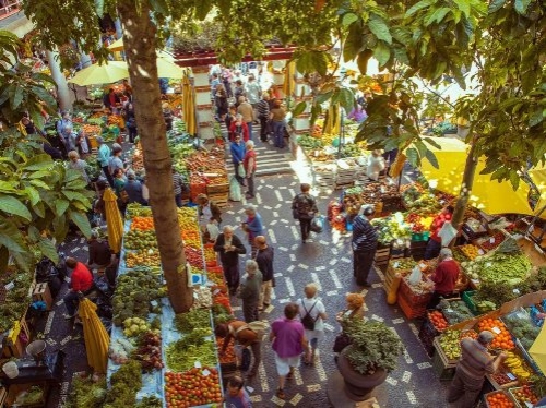 Madeira, hòn đảo đẹp nhất châu Âu - 10