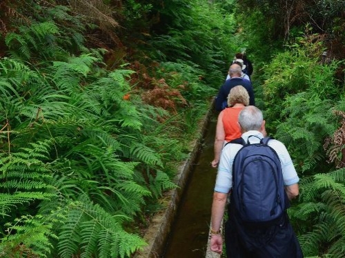 Madeira, hòn đảo đẹp nhất châu Âu - 7