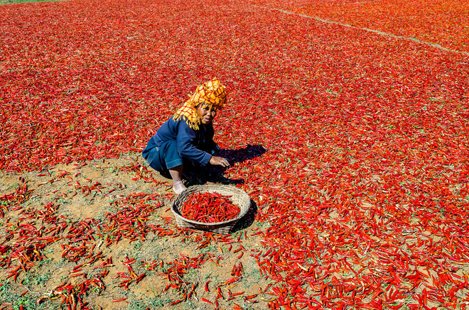 Myanmar bình dị và thân thương - 3