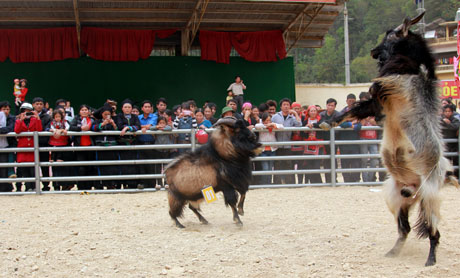 nam at mui di xem hoi choi de - 1