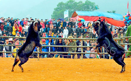 nam at mui di xem hoi choi de - 2