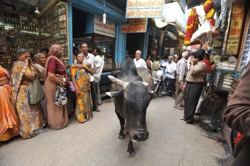 Ngày và đêm nơi cổ thành Varanasi - 5