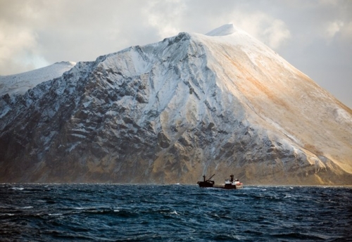 Ngư dân Alaska vào vụ đánh bắt cua khổng lồ - 1