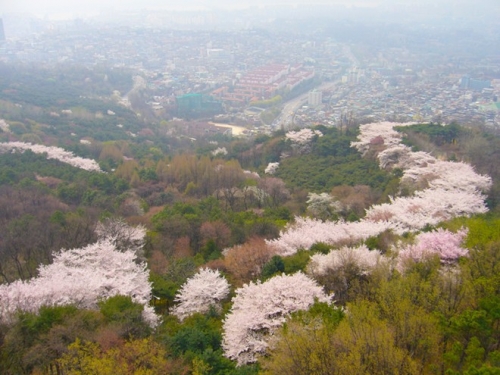 nhung khong gian xanh noi tieng cua seoul-3