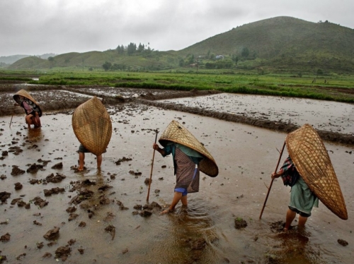 Những nơi mưa ướt quanh năm - 1