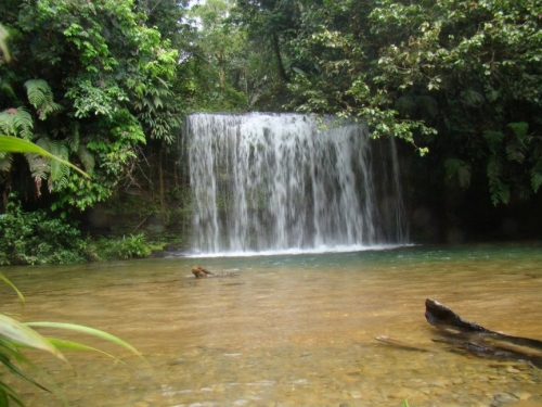 Những nơi mưa ướt quanh năm - 2