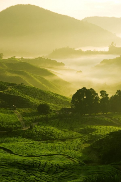 Những 'thiên đường' du lịch gần Việt Nam nhất định phải đi - 18