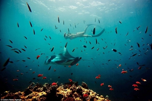 Núi rác gây choáng tại Maldives - nơi 'chỉ cách thiên đường một bước chân' - 1