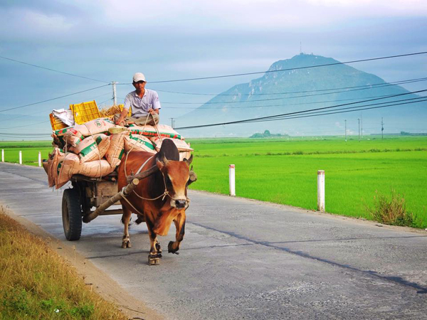 Khung cảnh bình yên, hiền hòa của đất và người Phú Yên.