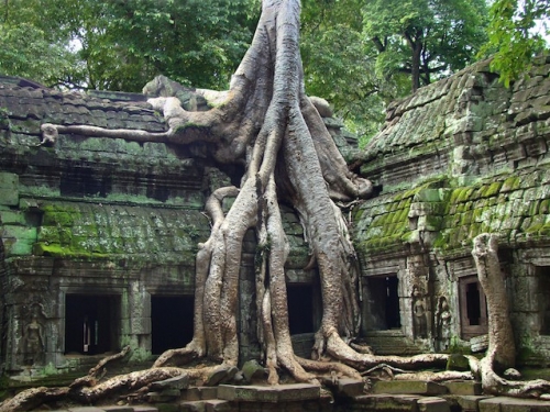 Ruộng bậc thang Sa Pa lọt vào danh sách những nơi đẹp nhất thế giới - 12