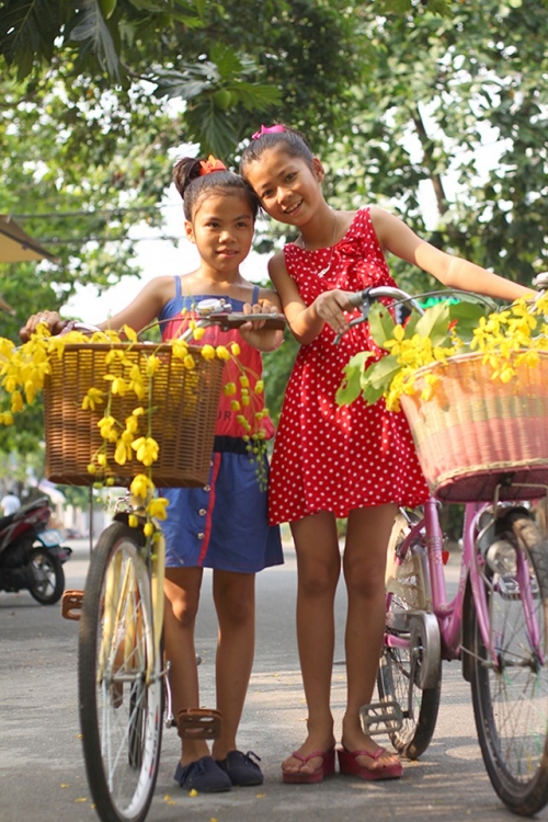 sai gon mua hoa bo cap vang - 6