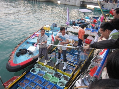 sai kung chon binh yen cua hong kong