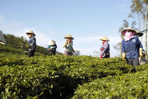 tan huong thien nhien trong lanh noi doi tra da lat-10