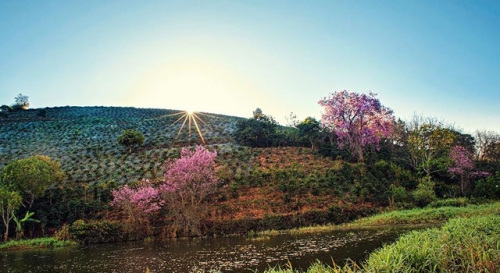 tan huong thien nhien trong lanh noi doi tra da lat-3