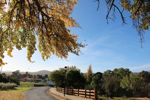 tasmania mua thu lanh lanh anh 12