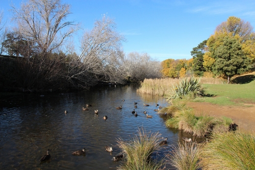 tasmania mua thu lanh lanh anh 17