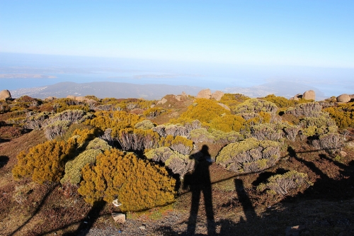 tasmania mua thu lanh lanh anh 27