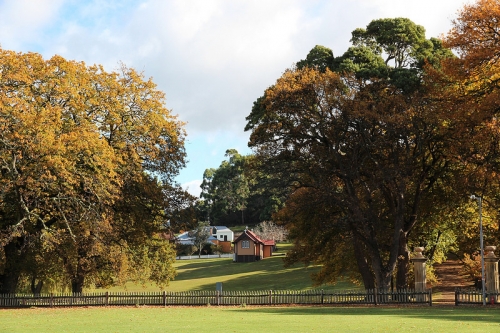 tasmania mua thu lanh lanh anh 32