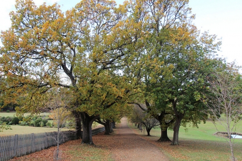 tasmania mua thu lanh lanh anh 35