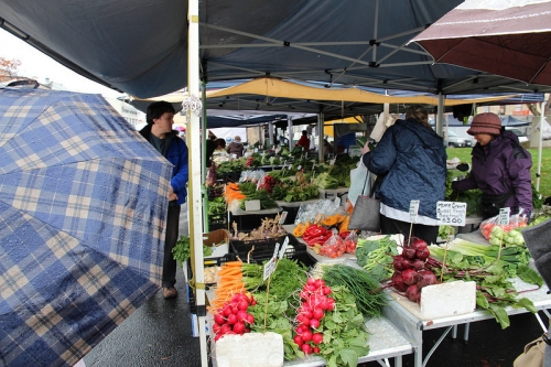 tasmania mua thu lanh lanh anh 5