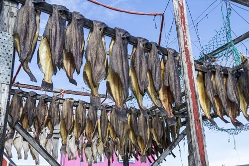 Tộc người sống ở nơi lạnh nhất hành tinh - 9